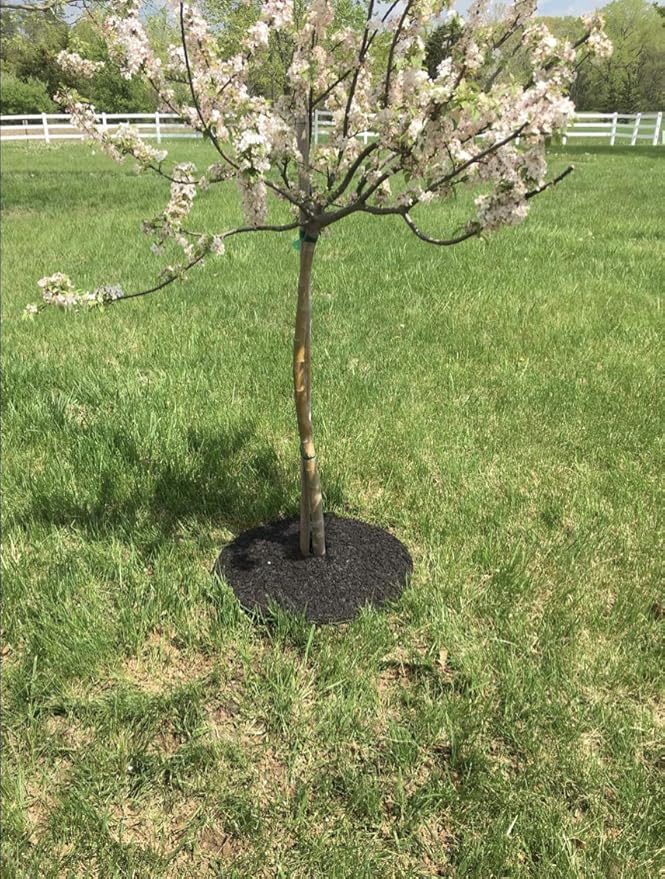 Rocky Mountain 30-Inch Tree Mulch Ring Weed Preventer - Recycled Heavy Duty Rubber - Mower Safe - No Landscape Staples Needed - Natural Look - Equal Water Seepage to Tree - Easy Install