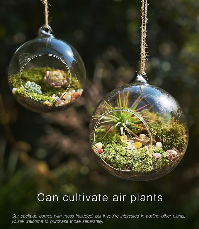 LUCKYRUNES DIY Terrarium Kit with Live Moss, 15-Piece Glass Globe Set with Wooden Stand, Tools, Soil, Stones & Spray Bottle, Indoor Mini Garden Gift for Plant Lovers, Home Desk Decor