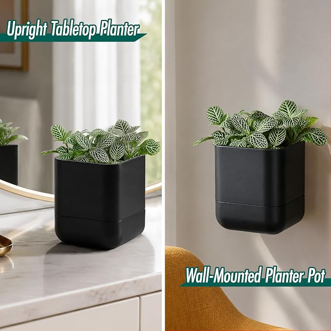 Phoenix Vine 4.5 Inch Wall Mounted Self-Watering Planter Pot for Indoor Houseplants and Herbs | Hanging Planter for Window Sills, Bathroom Walls, Home & Office Décor, Black, Set of 4, 01-B-E-4