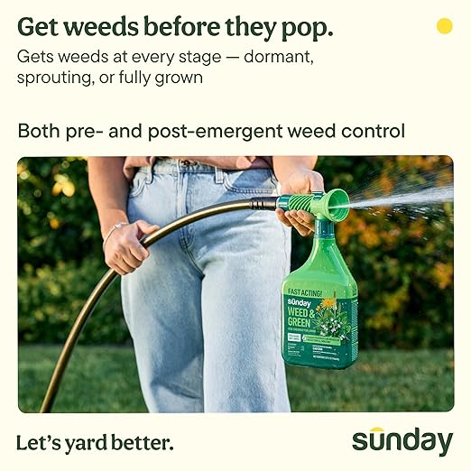 Sunday Weed & Green + Liquid Lawn Kickstart Spring Weed and Feed Kit, Pre-Emergent & Post-Emergent Lawn Weed Killer + 22-0-2 Lawn Fertilizer, Kills Dandelion + Crabgrass, for Lawns up to 5,000 sq ft