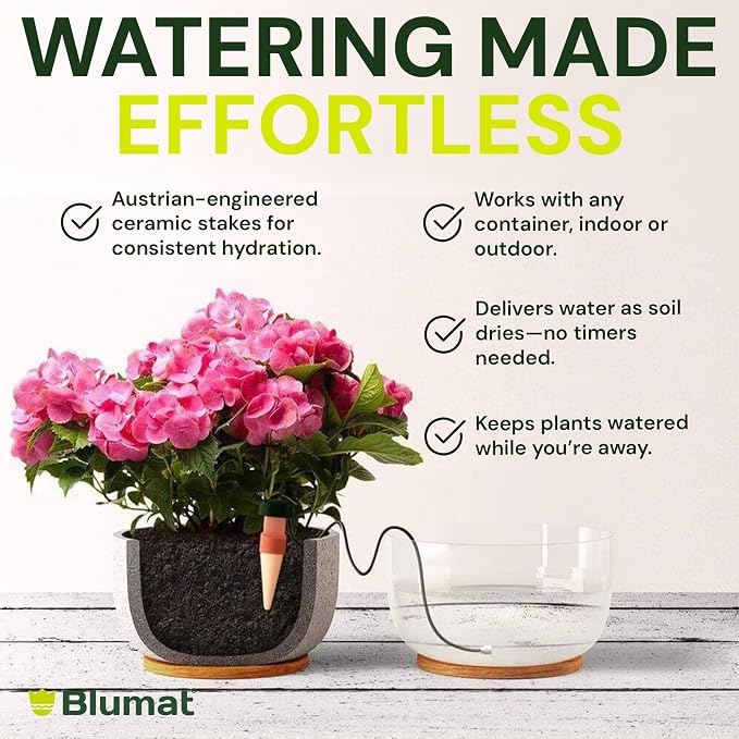Blumat Classic Self-Watering Stakes - Prevents Overwatering and Underwatering for Healthy Growth While You are Away - Ideal for Indoor Plant Watering, 3 Pack, w Adapter