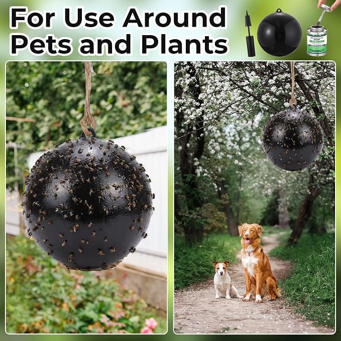 4 Pcs Large Fly Trap Balls Hanging Fruit Fly Traps Outdoor Adhesive Insect Balls with 2 Pcs Sticky Coating Glue Air Pump Insect Catch Sticky Bug for Farm Orchard Deerflies Mosquito (Black)