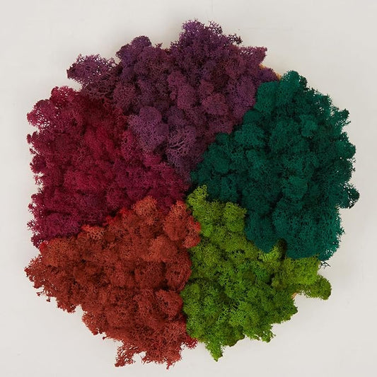 Preserved Reindeer Moss Natural Green DIY Kit Gardenning Art Wall Decor Florist Decor Easter Table Decor Wedding