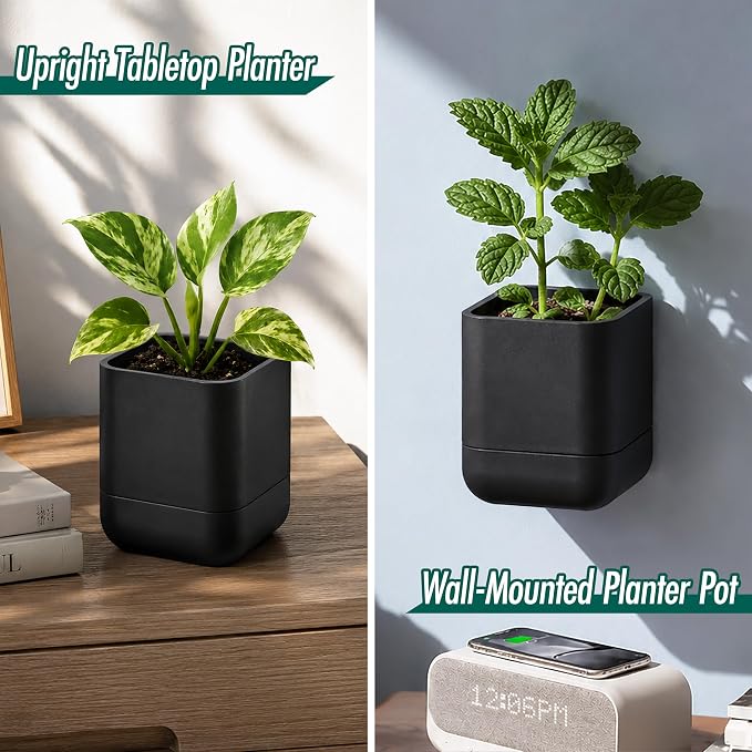 Phoenix Vine 3.5 Inch Wall Mounted Self-Watering Planter Pot for Indoor Houseplants and Herbs | Hanging Planter for Window Sills, Bathroom Walls, Home & Office Décor, Black, Set of 2, 01-A-E-2