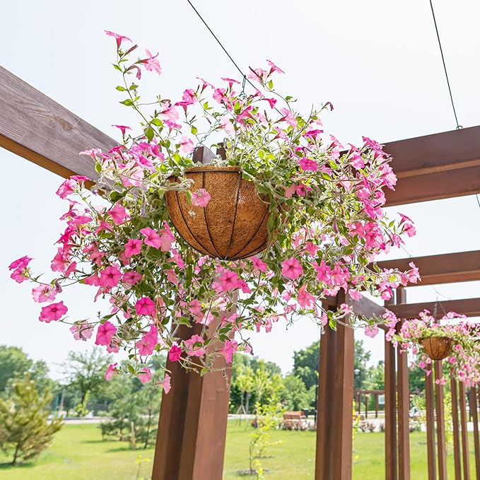 Rtteri 8 Pcs 12 Inch Hanging Baskets for Plants Outdoor with Metal Wire Frame and Coconut Coir Liners, Round Wire Hanging Baskets with Chain for Patio Garden Porch Decoration