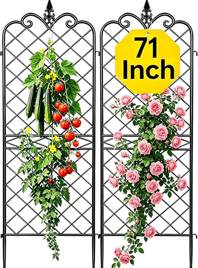 AMAGABELI GARDEN & HOME Garden Trellis 2 Pack 71”x20” Heavy Duty Rustproof Wall Trellis for Climbing Plants Outdoor Metal Decoration Large Trellis for Potted Plants Support Trellis Roses Black