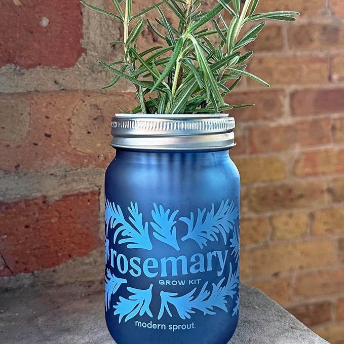 Modern Sprout Mason Garden Jar - Self-Watering Hydroponics Growing System Kit with Organic Herb Seeds - Jar Planter for Indoor Herb Garden - Seed Starter Kit Mint+Rosemary+Poppy