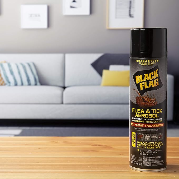 Black Flag Flea & Tick Killer for Upholstery & Pet Bedding Aerosol, 16-Ounce