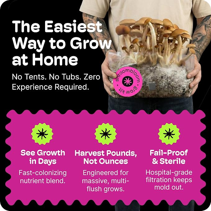 Mushroom Grow Kit – All-in-One 4LB (2-Pack) Grow Bag with Self-Healing Port – Fast-Colonizing Universal Substrate for Any Mushroom – Multi-Flush High-Yield – USA Made (Just Add Your Own Culture)