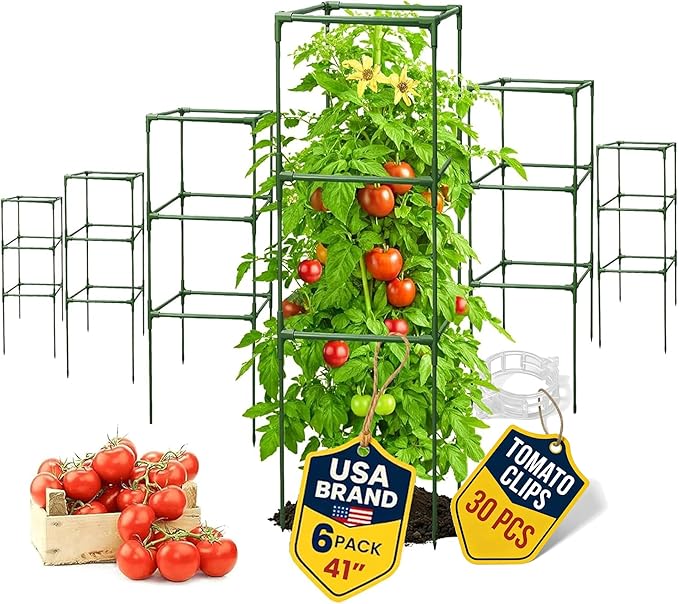 Tomato Cage Square - Large Trellis Stakes and Plant Support Structures for Vegetables and Climbing Plants - Tall Tomato Cages for Garden, Pots, Raised Garden Bed Outdoor Supplies (6 Pack - Up to 41")