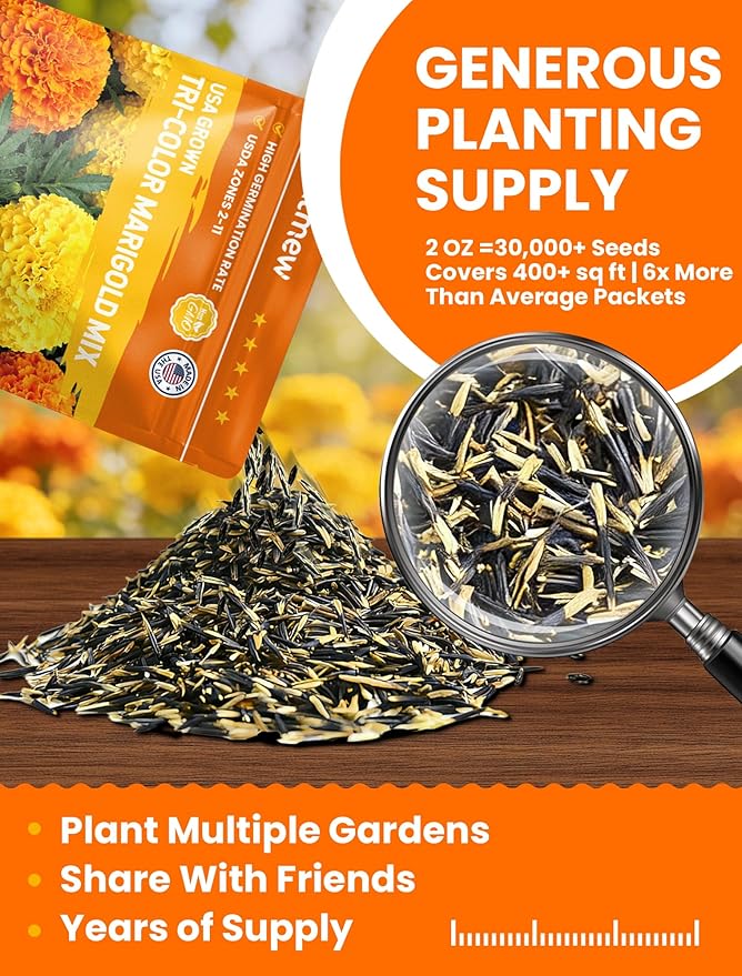 Tri-Color Marigold Seeds Bulk - 60,000+ Heirloom Flower Seeds for Planting Outdoors, Dwarf French Marigolds, Non-GMO Pollinator Magnet with High Germination, Quick Blooming