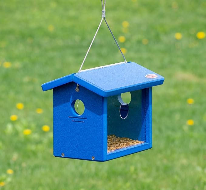 Kettle Moraine Recycled Bluebird Mealworm Feeder Hang or Mount (Blue, Blue)