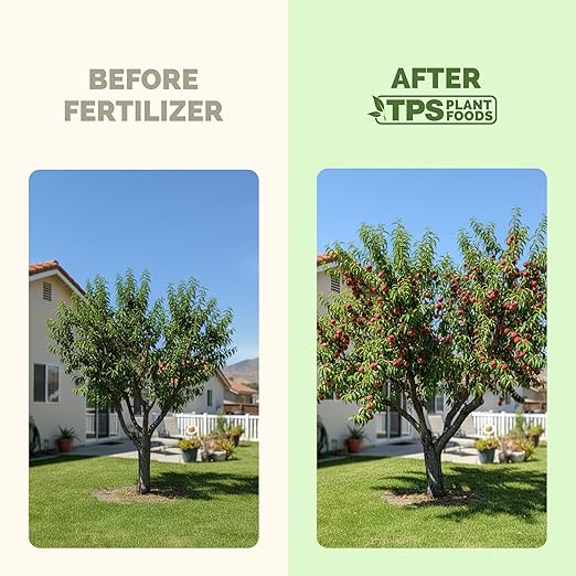 Peach Tree Fertilizer – Liquid Peach Tree Plant Food for Healthy Growth & Fruit Production, 32 oz