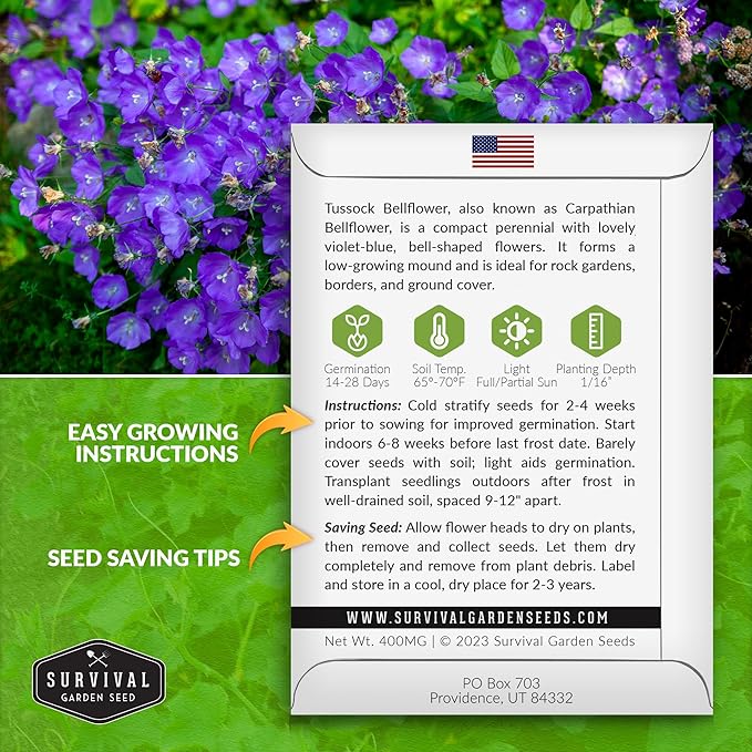 Survival Garden Seeds Tussock Bellflower Seed for Planting - 2 Packets with Instructions to Plant and Grow Campanula carpatica in Your Home Flower Garden - Non-GMO Heirloom