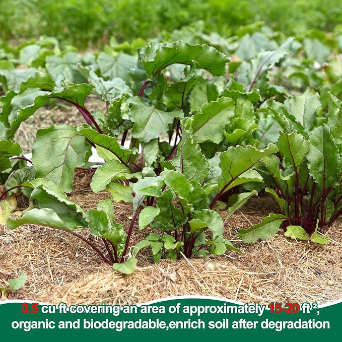 PJT Organic Garden Straw,Biodegradable Straw Mulch for Vegetable Garden,Hay for Grass Seed Covering,Mulch for Landscaping Seed Covering,Thoroughly Cleaned and Weed Seed Free(0.5 cu ft,4 lbs)