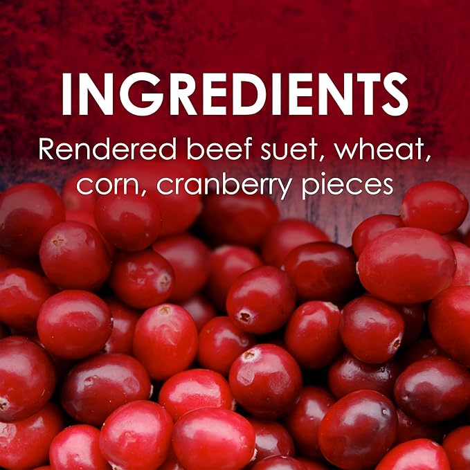 Heath Outdoor Products DD-27 Cranberry All Season Blend 11-1/4 Ounce Suet Cake (12 Cakes / Case)