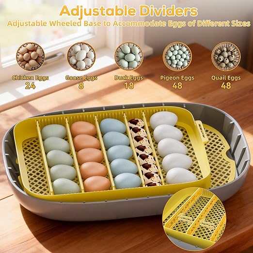 IBKINXX Incubator for Hatching Eggs-24 Egg Capacity, Automatic Egg Turner, Temperature & Humidity Control, 360° Viewing for Chicken, Duck and Quail Eggs
