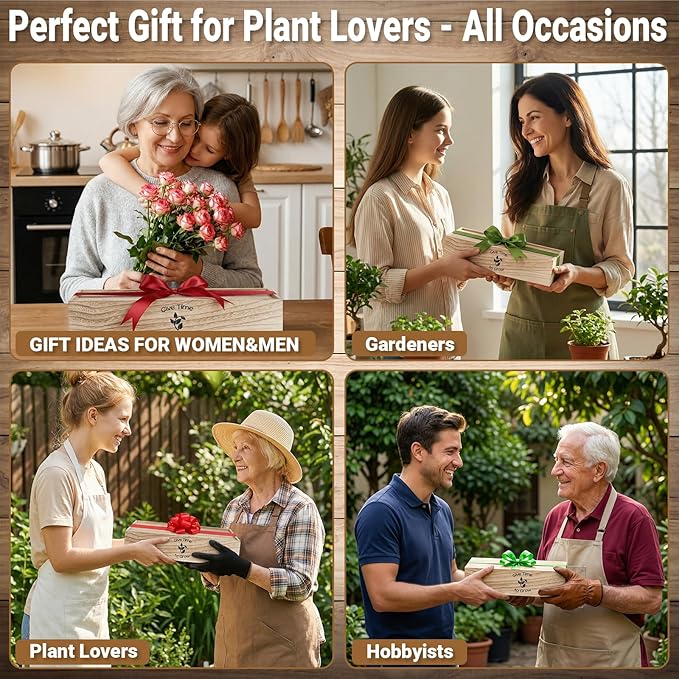 Bonsai Tree Starter Kit for Beginners 5 Unique Indoor Bonsai Trees with Gardening Tools DIY Bonsai Growing Kit Perfect Gifts for Women Men Plant Lovers for Birthday Mothers Day Housewarming