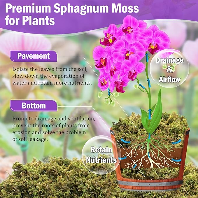 Riare 3.3LBS Premium Sphagnum Moss for Plants- 60QT Natural Dried Plant Moss for Potted Plants, Orchid Moss for Repotting, Soft Green Decorative Moss for Succulents, Reptiles & DIY Crafts