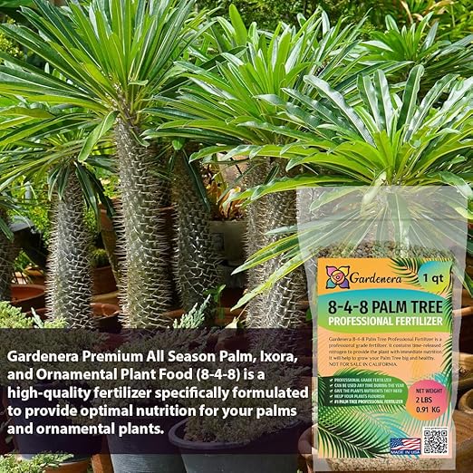 Premium 8-4-8 Professional Palm Tree Fertilizer Plant Food |Indoor Potted Plants and Outdoor Landscape Palm Trees | Quick-Release Nitrogen Fertilizer and Continuous Feeding [8 OZ]