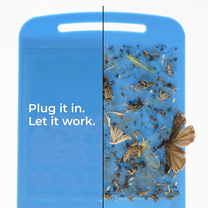 Wondercide - Flying Insect and Fly Trap - Indoor Bug Catcher for Fruit and House Flies, Gnats, Moths, and Mosquitoes - Starter Kit for Home and Kitchen - 2 Plug-in Lights and 2 Cartridges