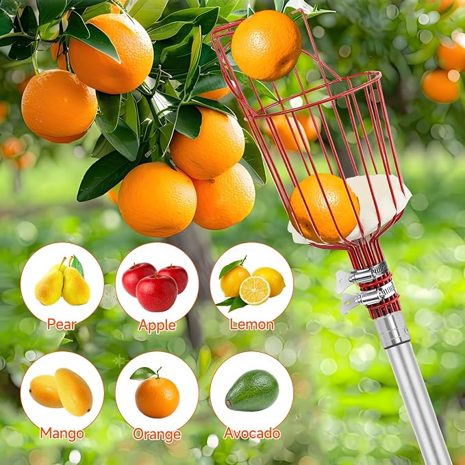 SANLIKE Fruit Picker Pole with Basket 8FT Adjustable Higher Lightweight Fruit Grabber Tool with Extension Pole for Apple Avocado Lemon Peach Pear Mango and Other Fruit Tree Harvester