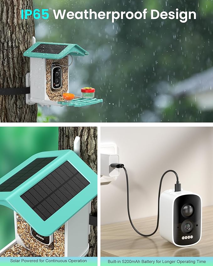 isYoung Smart Bird Feeder with Camera, AI Identifies 16,000+ Birds, Solar Powered, 2.5K HD, Auto Capture & Notify, Ideal Gift for Bird Lovers
