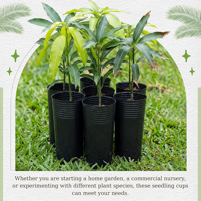 100 Pack Tall Tree Pot 9.8'' x 4.7'', Black Plastic Deep Nursery Pots, Soft Deep Seedling Pots for Seed Starting, Plant Starter Cups with Drainage Holes for Flowers, Cuttings Transplanting