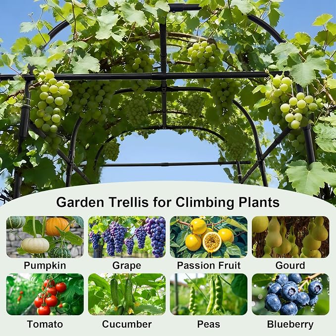 GOJAWAY 5.4L x 5W x 7H FT Metal Garden Trellis, Garden Arch Trellis for Climbing Plants, Outdoor Plant Support Frame for Garden Yard Patio