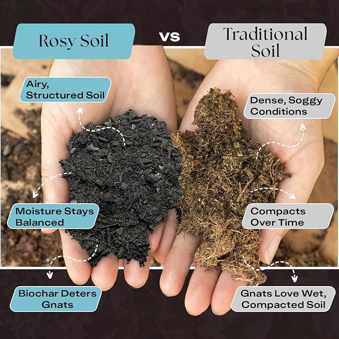 Rosy Soil Indoor Potting Soil for House Plants - Organic Potting Soil Mix for Indoor Plants - Enriched w/Root-Boosting Biochar for Foliage Plants, Flowers, Herbs - Peat Free, Less Prone to Gnats - 8qt