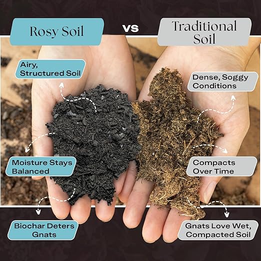 Rosy Soil Plant Food (4 qts) + Indoor Potting Soil (8 qts) - Microbially Active Fertilizer for Houseplants, Herbs, Flowers - Peat Free Potting Soil Mix for Indoor Plants