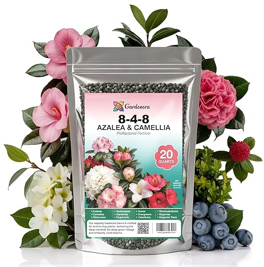 𝐁𝐄𝐒𝐓𝐒𝐄𝐋𝐋𝐄𝐑 Premium 8-4-8 Acidic Fertilizer for Azaleas, Camellias, Hydrangeas, Blueberries, Gardenias, Magnolia Trees, Evergreens and Rhododendrons - Ideal Iron-Rich Plant Food - 20 QUARTS
