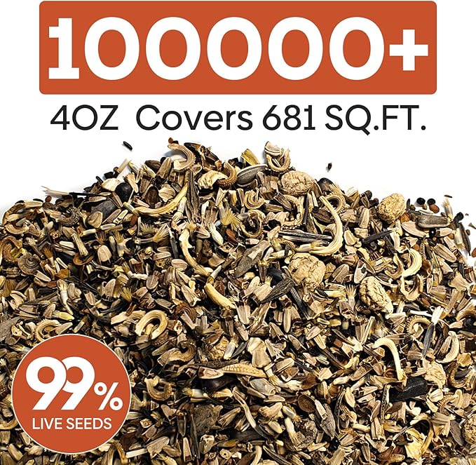 Groundio Wildflower Seeds Bulk, 1/4 lb, 100,000+ Seeds, 26 Variety Mix with Zinnia, Milkweed Seed, Attracts Pollinators, Plant in Spring or Fall, Zones 3, 4, 5, 6, 7, 8, 9, 10