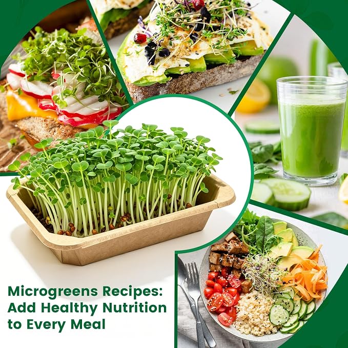 Microgreens Growing Kit Indoor Garden - Complete Micro Greens Growing Kits with 5 Seed Packs - Grow Broccoli, Arugula, Kale, Cabbage, Radish with Waterproof Trays - Grow Microgreens Indoor for Health