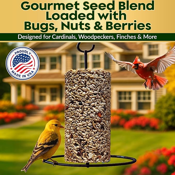 Bugs, Nuts & Berries Bird Seed Cylinders with Hole – Wild Bird Food for Blue Birds, Woodpeckers, Cardinals & More – Premium Protein-Rich All Natural Blend, No Fillers – USA Made (4" x 7.75")