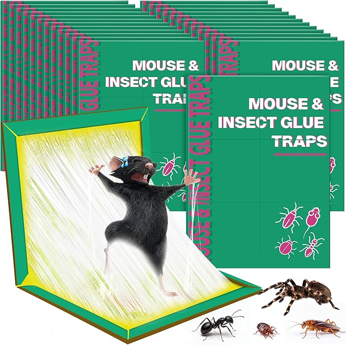24 Pack Sticky Mouse Traps, Sticky Traps for Rats Mice Rodents Snakes No Touch Indoor Mouse Traps for Home Kitchen Garage Attic Basements, Easy to Set, Green