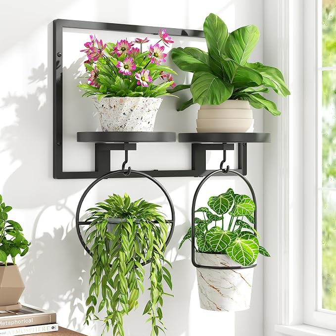 iDavosic.ly Wall Plant Holder Set of 3, 2-Tier Floating Shelves with Hooks, Metal Display Stand for Indoor Outdoor, Picture Frames, Living Room Decor, Space Saving (Pots/Chains/Plants Not Included)