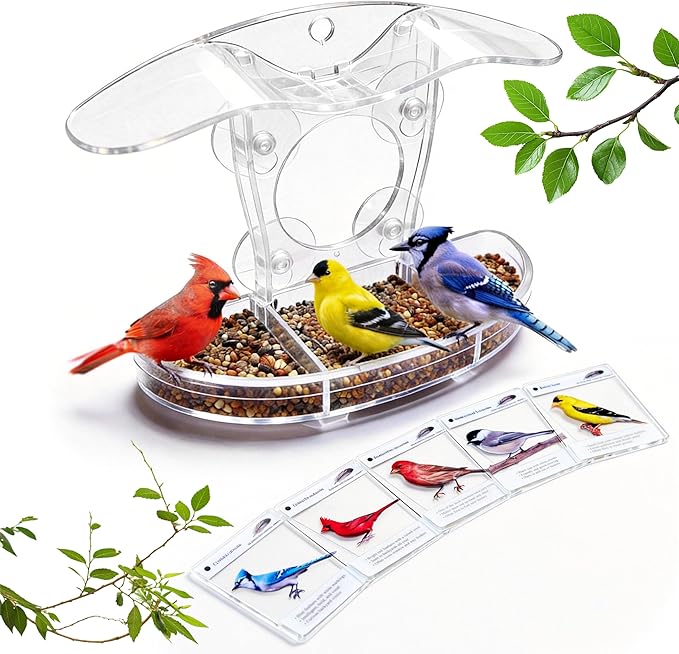 Window Bird Feeder with 5 Acrylic ID Cards - Clear Bird House for Outside with Removable Tray & Drain Holes - 4 Strong Suction Cups, Panoramic View for Wild Birds, Cat TV, Nature Gift