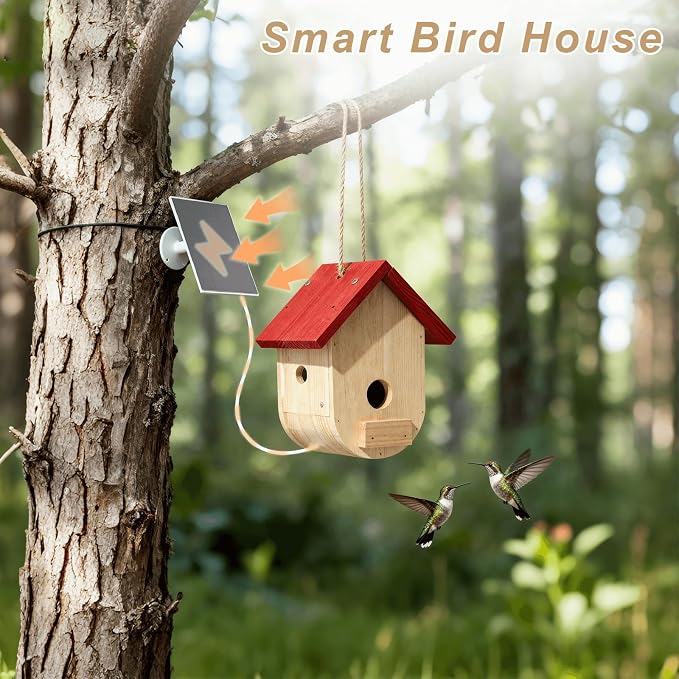 Hummingbird House with Camera Solar Powered