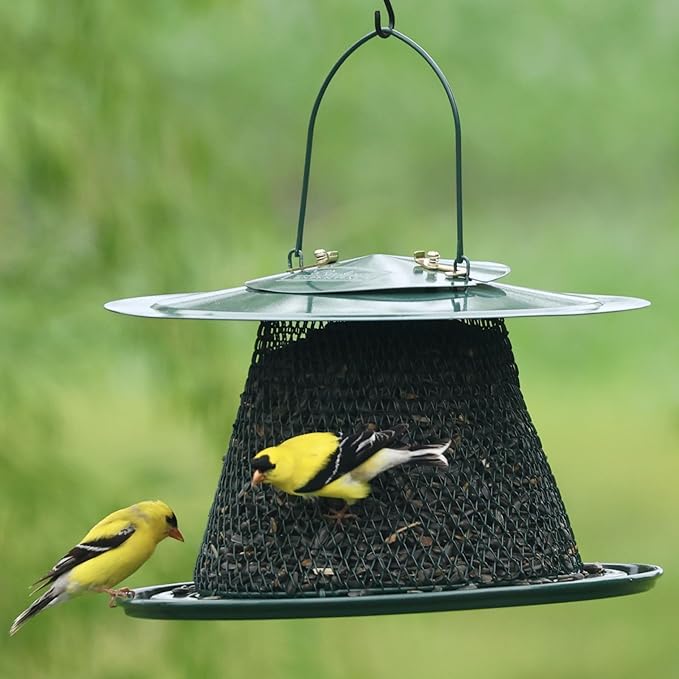 Collapsible Metal Mesh Bird Feeder with Tray - Green Cardinal Feeder - Holds 12 Cups of Sunflower Seeds