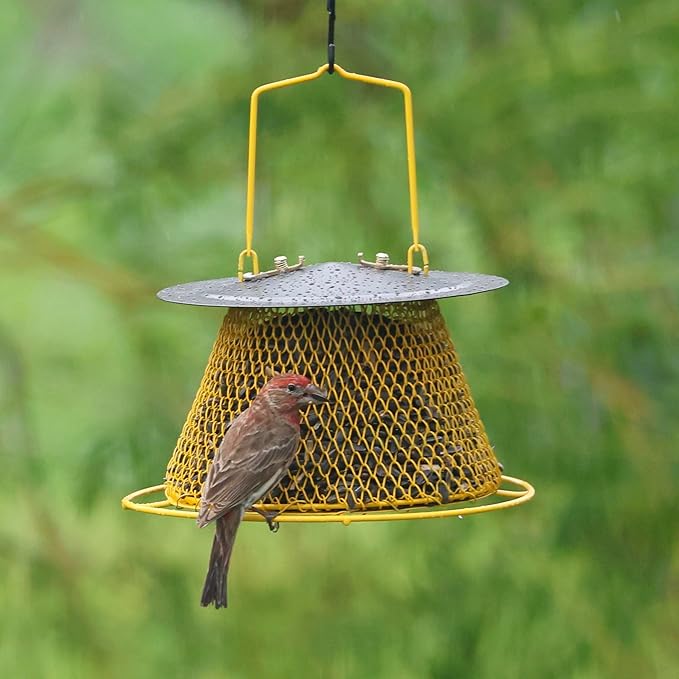 Small Collapsible Mesh Feeder - Yellow and Black Hanging Bird Feeder - Holds 1lb of Sunflower Seeds