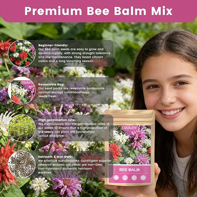 4000+ Bee Balm Seeds for Planting, Color Mix Native Wildflower Seeds, Non-GMO Heirloom & Open Pollinated Perennial Flower Seeds to Plant Outside Flower Herb Garden