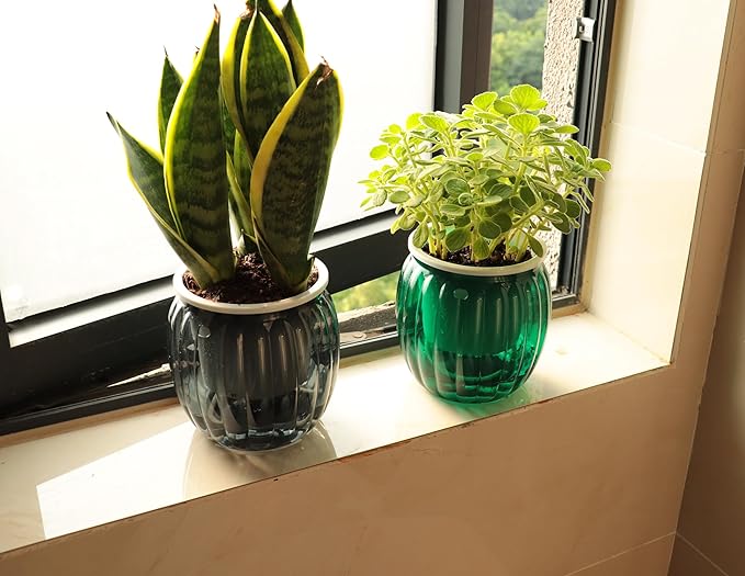 Cornasee 4" Pumpkin Planter Self Watering Pot, 4-Pack Small Plastic Planters for Indoor Plants,Snake Plant,Succulent,African Violets Green