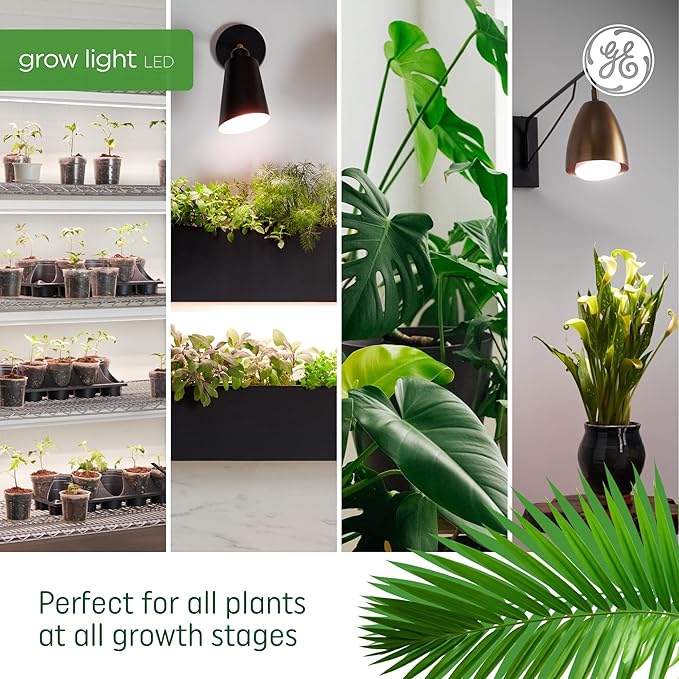 GE Grow Lights for Indoor Plants, A19 LED Light Bulbs for Flowers and Fruit with Advanced Red Light Spectrum, White Indoor Plant Light, 25,000 Hours Lifespan, 15 PPF, 2 Pack (Packaging May Vary)