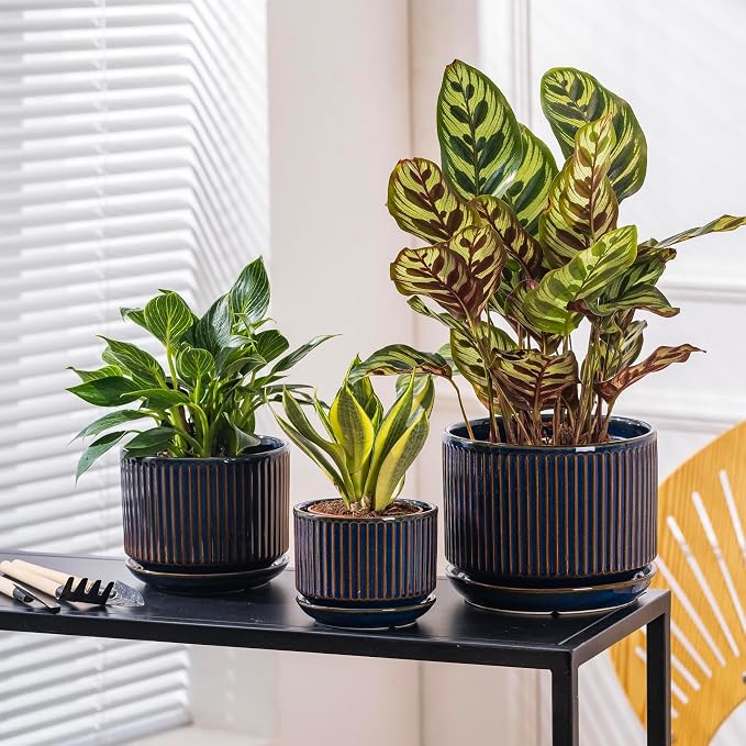 SURE YUESI Ceramic Plant Pots Set of 3, Indoor Outdoor Planters with Drainage Hole and Saucer, Ceramic Flower Pots for Indoor Plants, 4.3+5.5+6.8 Inch, Home, Garden, Patio and Office, Glossy Blue