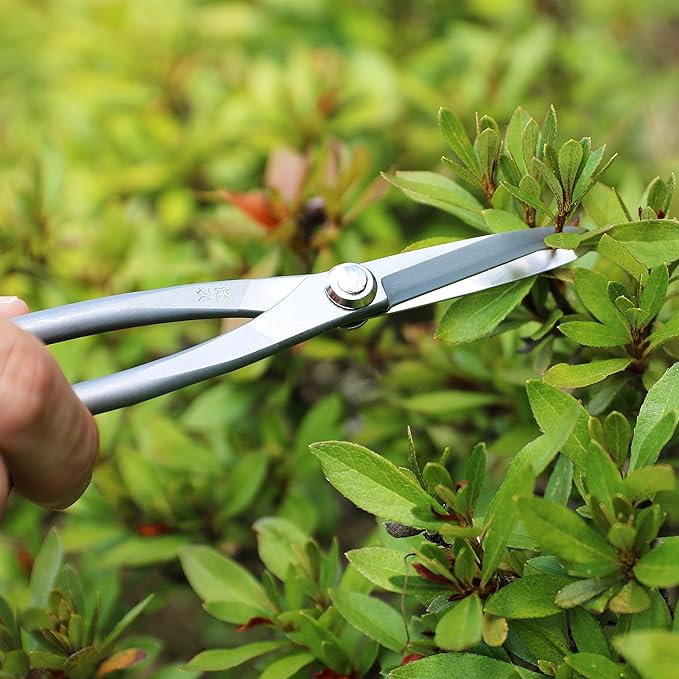 KAKURI Satsuki Bonsai Scissors Made in Japan 7", Japanese Stainless Steel Blade, Precision Bonsai Shears for Fine Pruning and Trimming