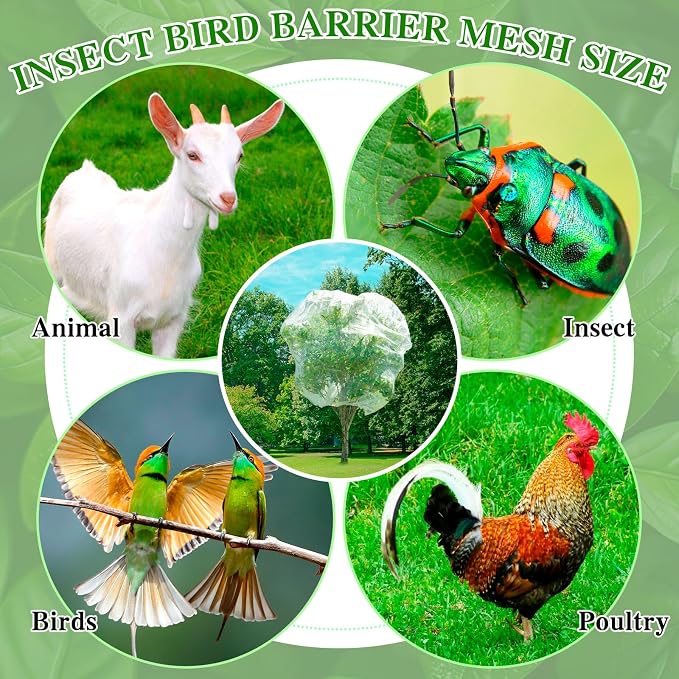 4 Pcs Plant Barrier Net Mesh, Plant Barrier Net Mesh, Bird Netting, Barrier Bags for Vegetables Fruits, Tomato Plant Netting for Protect Plants from Birds(6.56 x 6.56 FT)