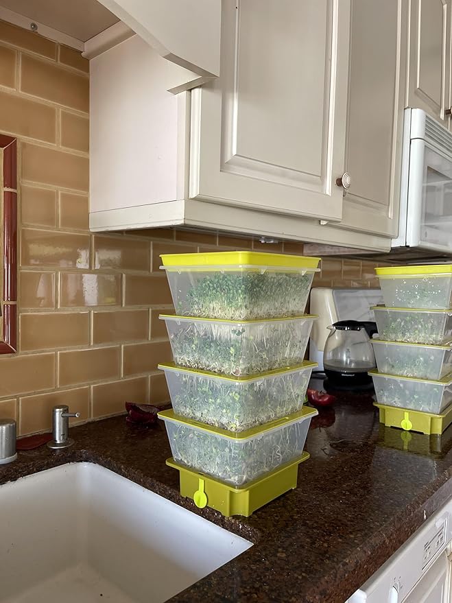 ZESTIGREENS 4-Tier Sprouting Kit - Stackable Seed Sprouter Trays with Drain Spout - Grow Fresh Sprouts at Home - BPA-Free