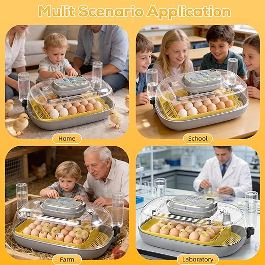 IBKINXX Incubator for Hatching Eggs-24 Egg Capacity, Automatic Egg Turner, Temperature & Humidity Control, 360° Viewing for Chicken, Duck and Quail Eggs