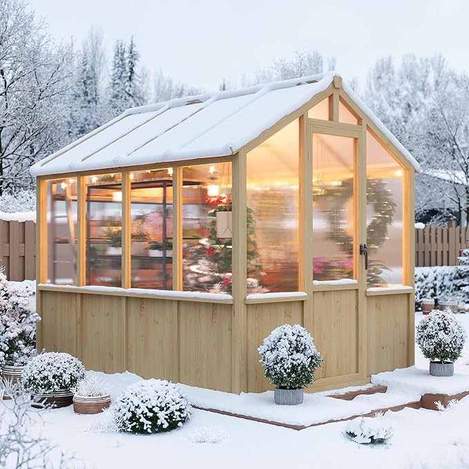 6x8 FT Greenhouse - Large Wooden Greenhouses for Outdoors, Heavy Duty Spruce Frame Greenhouse with PC Panels, Adjustable Roof Vents & Lockable Door, Walk-in Green Houses for Garden, Backyard, Patio